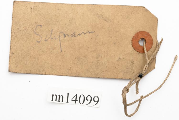 General view of label of Horniman Museum object no nn14099