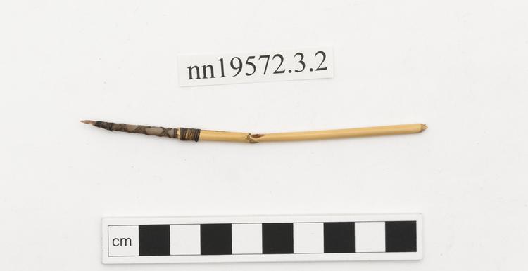 Image of toy weapon; arrow