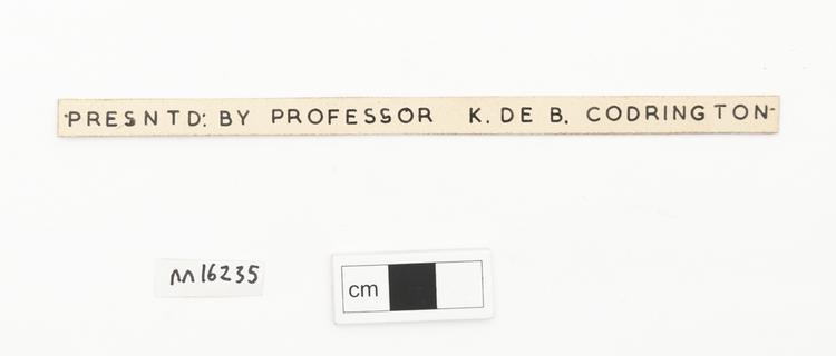 General view of label of Horniman Museum object no nn16235