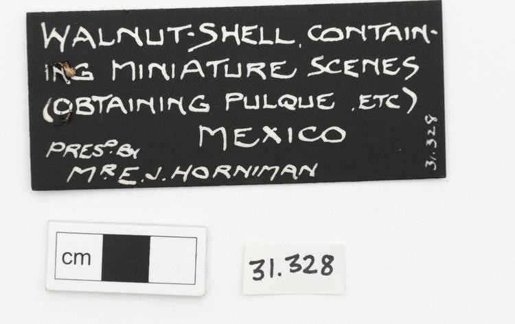 General view of label of Horniman Museum object no 31.328
