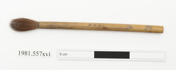 General view of whole of Horniman Museum object no 1981.557xvi