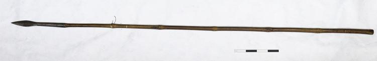 General view of whole of Horniman Museum object no 10.3.61/12