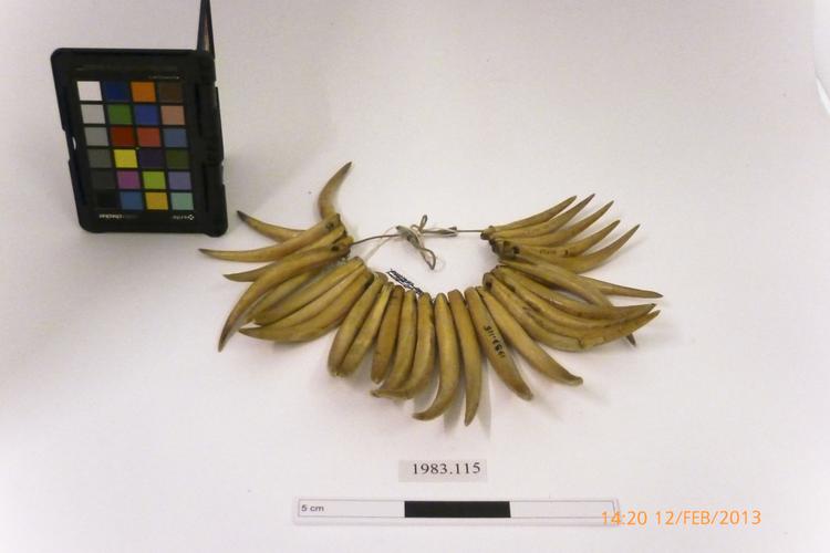 Frontal view of whole of Horniman Museum object no 1983.115