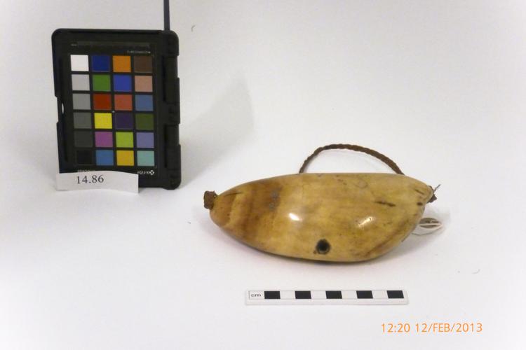 Image of tabua