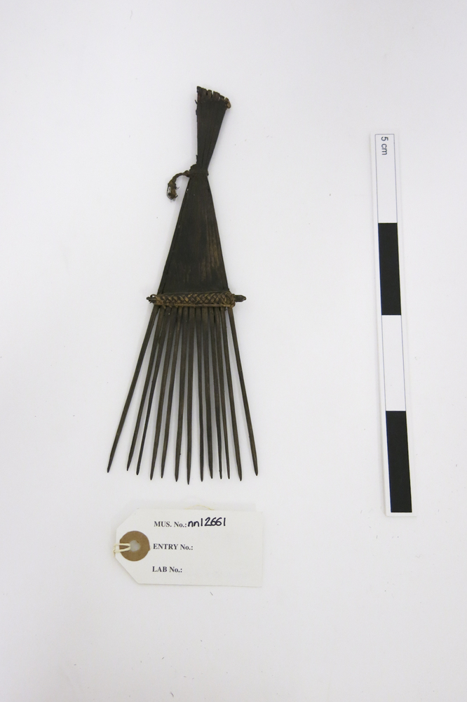 Image of comb (general & multipurpose)