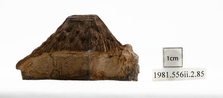Rear view of whole of Horniman Museum object no 1981.556ii.2.85