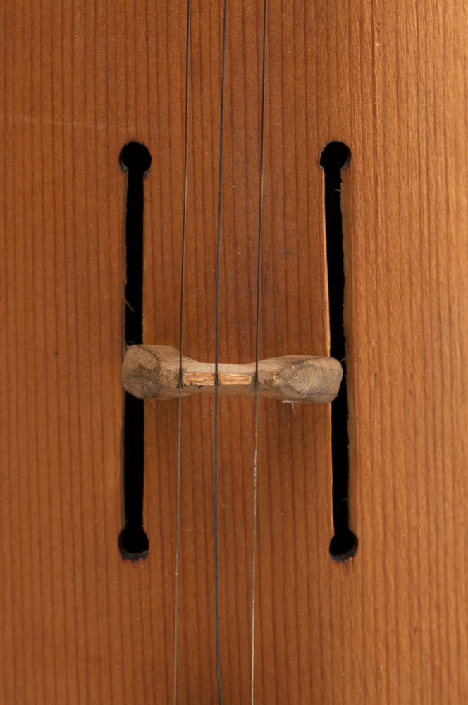 Detail of bridge and parallel soundholes of Horniman Museum object no 2012.135.1