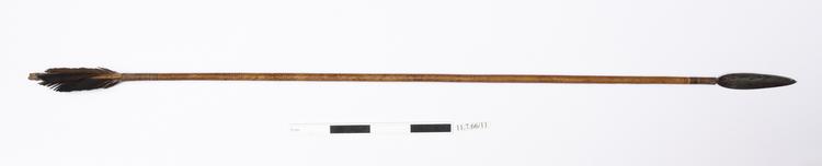 General view of whole of Horniman Museum object no 11.7.66/11