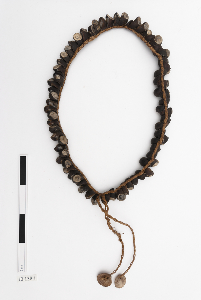 General view of whole of Horniman Museum object no 10.138.1
