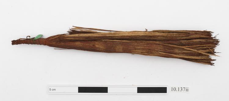General view of whole of Horniman Museum object no 10.137ii