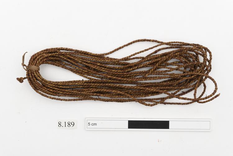 Image of ornament (personal adornment); cord (clothing: accessories)