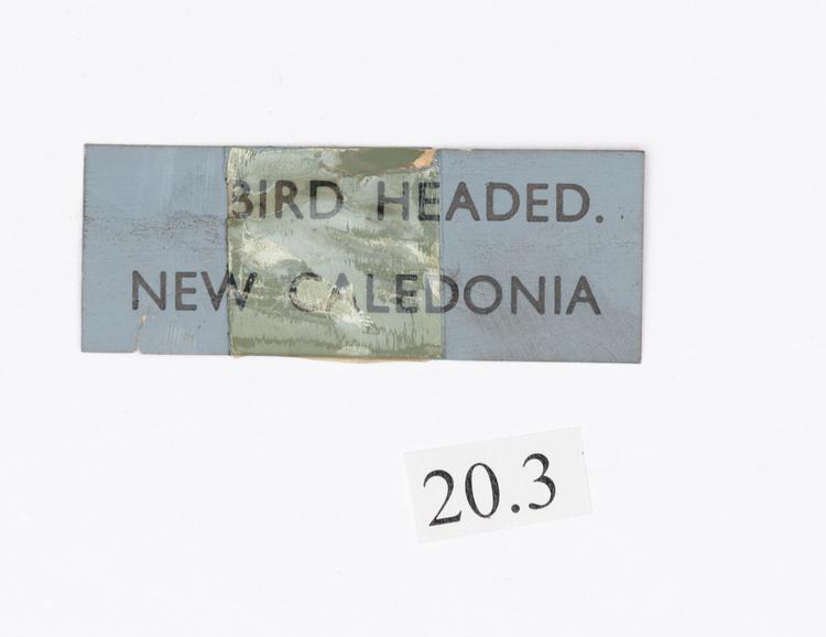 General view of label of Horniman Museum object no 20.3