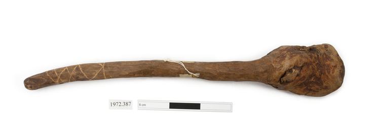 throwing stick