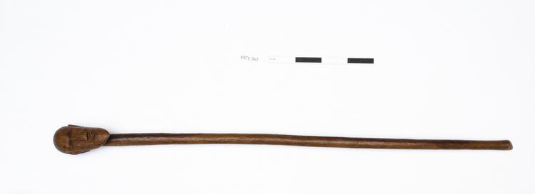 Image of walking stick