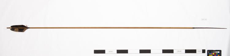 Image of arrow (hunting, fishing & trapping)