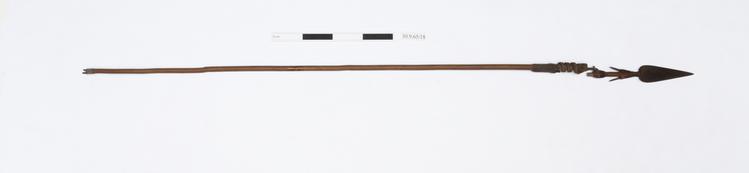 Image of harpoon arrow