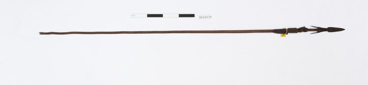 Image of harpoon arrow