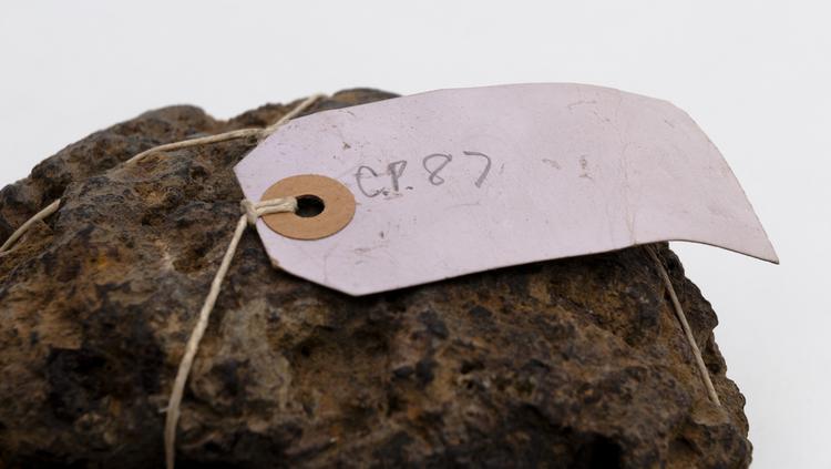 Detail view of label of Horniman Museum object no 7.7.59/39