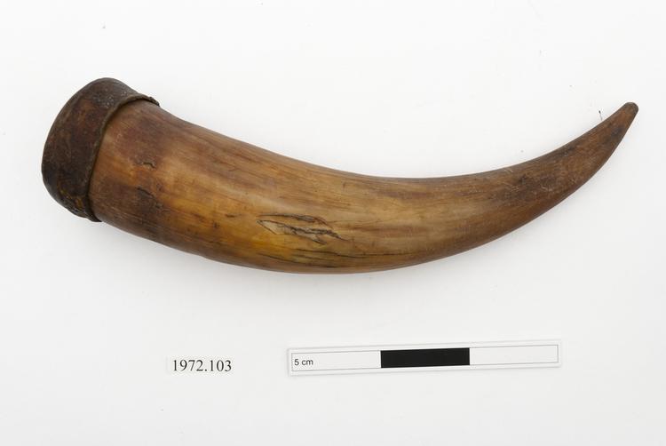 General view of whole of Horniman Museum object no 1972.103