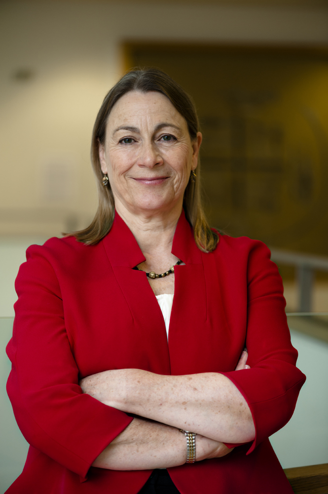 Photograph of Janet Vitmayer, Chief Executive of the Horniman Museum and Gardens