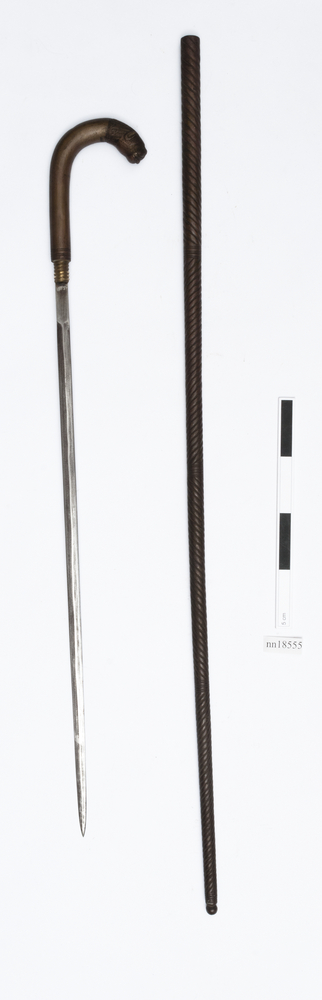 sword stick; sword sheath (sheath (weapons: accessories)) - Horniman Museum  and Gardens