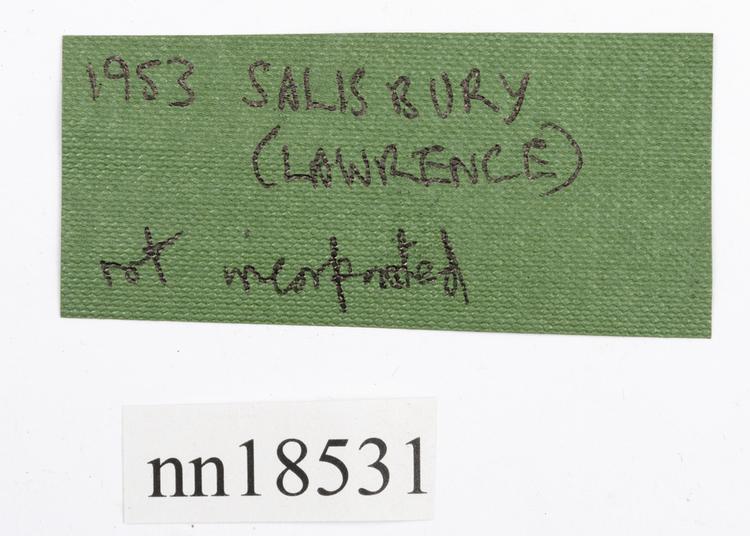 General view of label of Horniman Museum object no nn18531