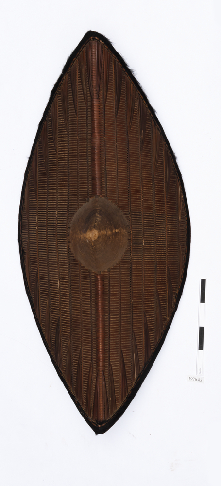 shield (weapons: accessories)