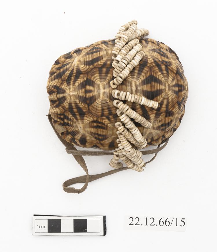 General view of whole of Horniman Museum object no 22.12.66/15