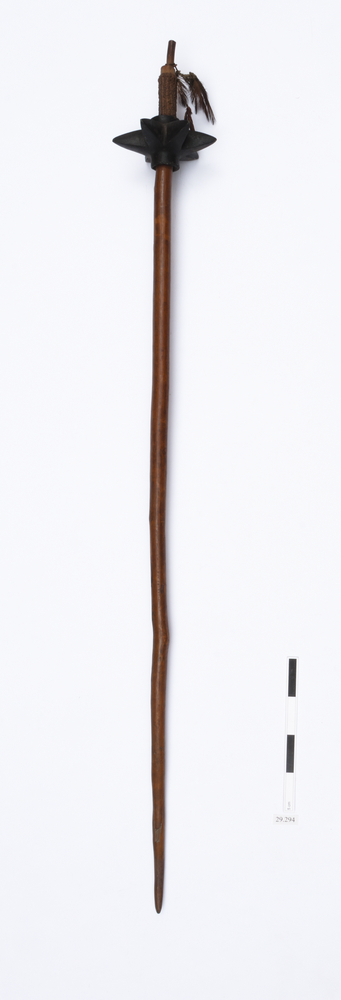 club (weapons: bludgeon)