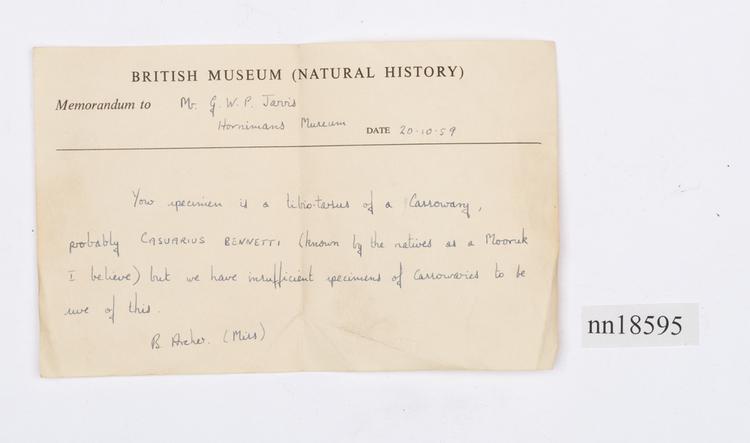 General view of label of Horniman Museum object no nn18595