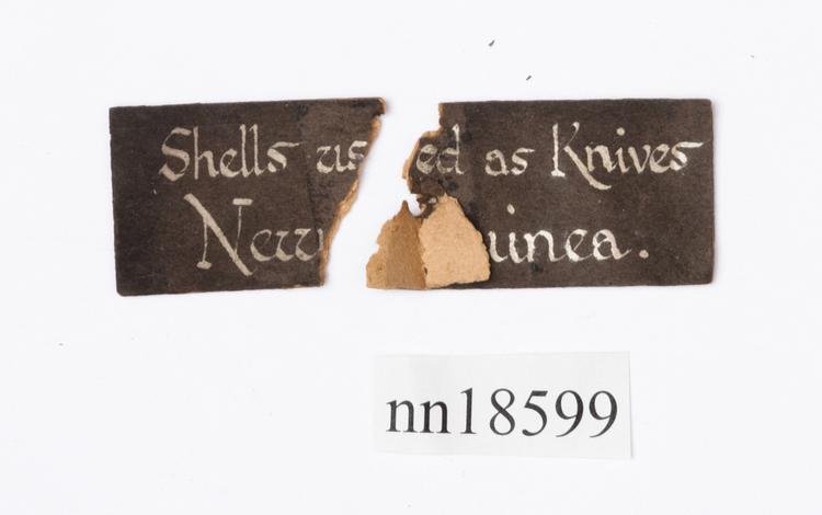 General view of label of Horniman Museum object no nn18599