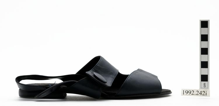 sandal (clothing: footwear)