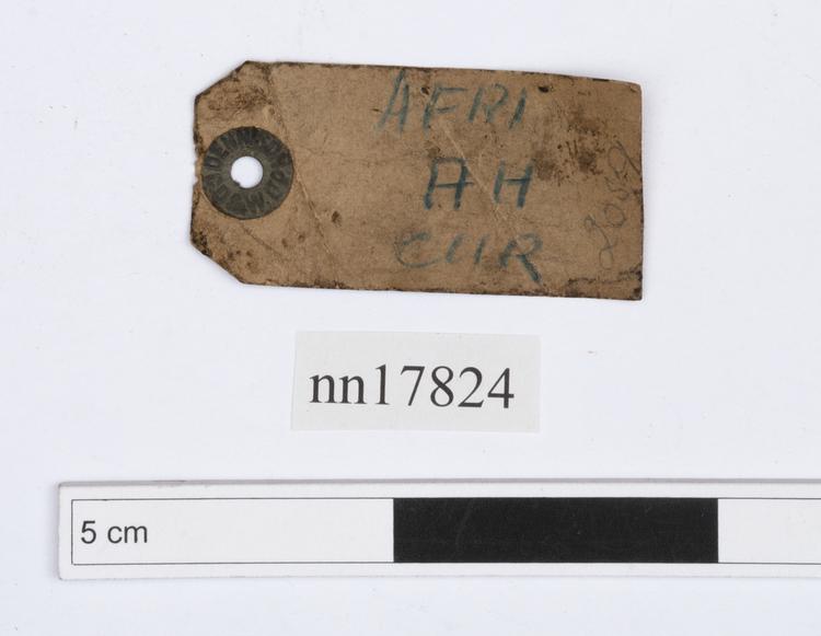 General view of label of Horniman Museum object no nn17824