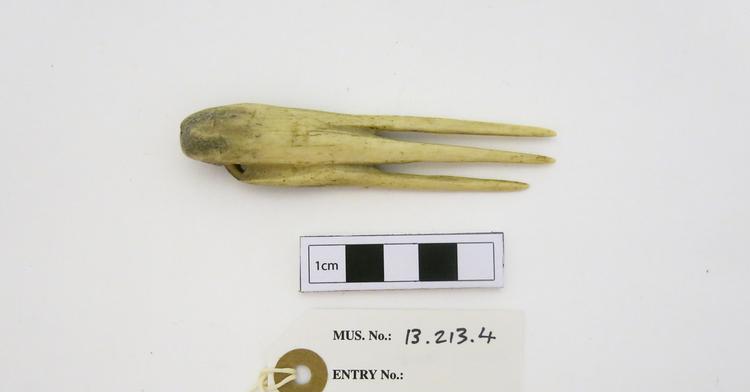 Frontal view of whole of Horniman Museum object no 13.213.4