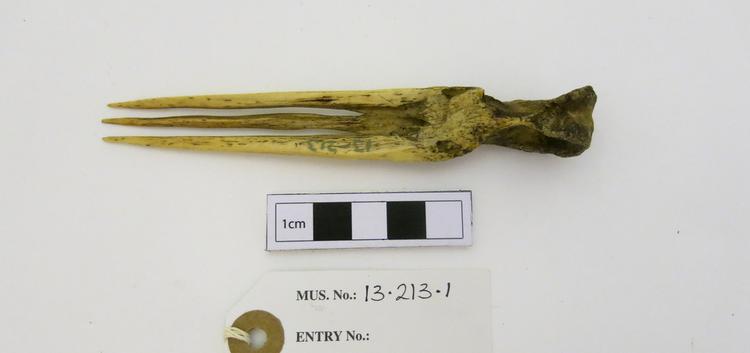 Frontal view of whole of Horniman Museum object no 13.213.1