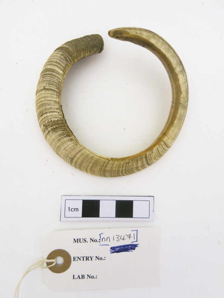 Image of bracelet (arm ornament)