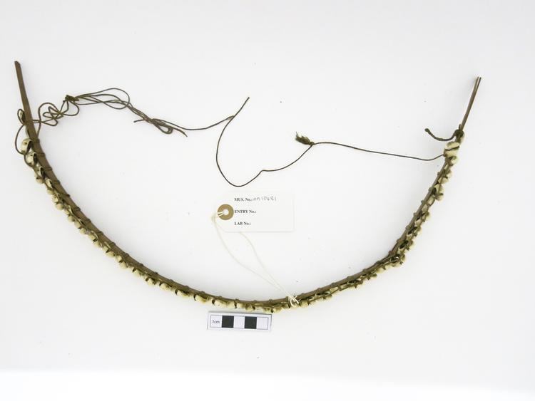 Frontal view of whole of Horniman Museum object no nn13481
