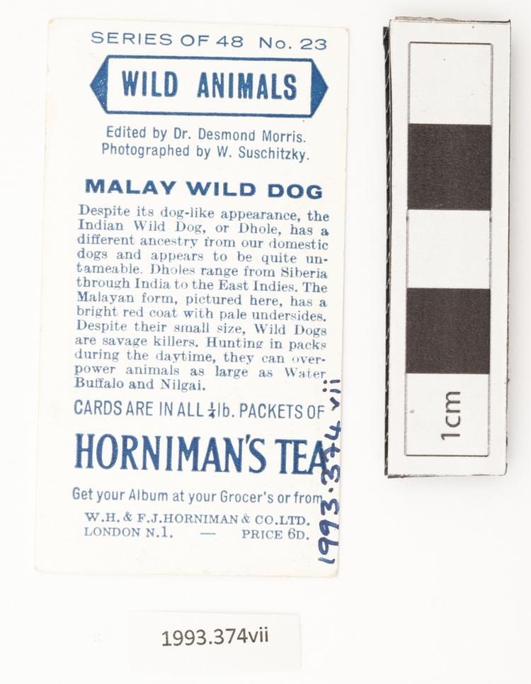 Rear view of whole of Horniman Museum object no 1993.374.7