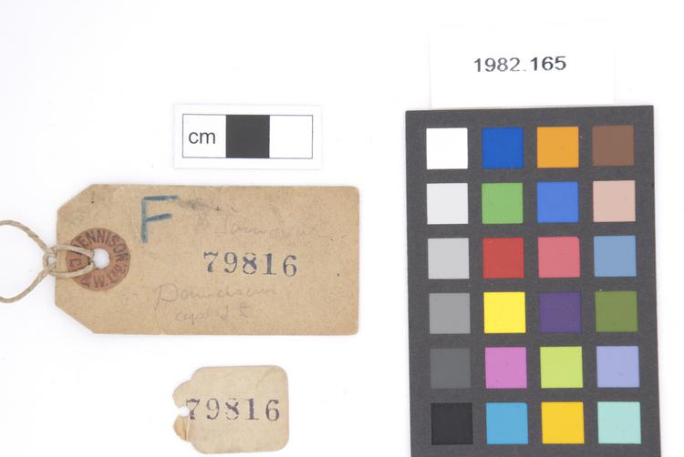 Frontal view of label of Horniman Museum object no 1982.165