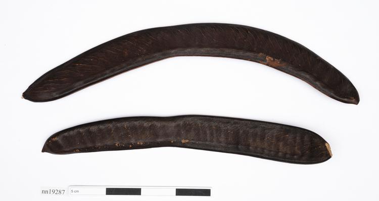 Image of boomerangs (weapons: missiles & projectors); natural object