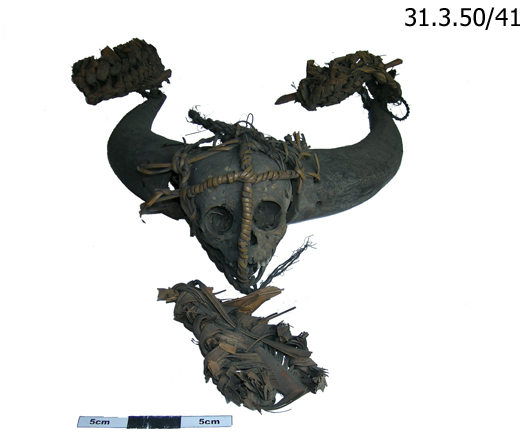 General view of whole of Horniman Museum object no 31.3.50/41
