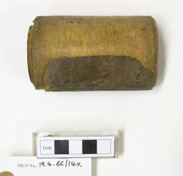 Image of scroll (religious text (ritual & belief: ritual apparatus))