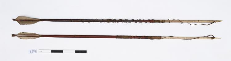 Image of harpoon arrows