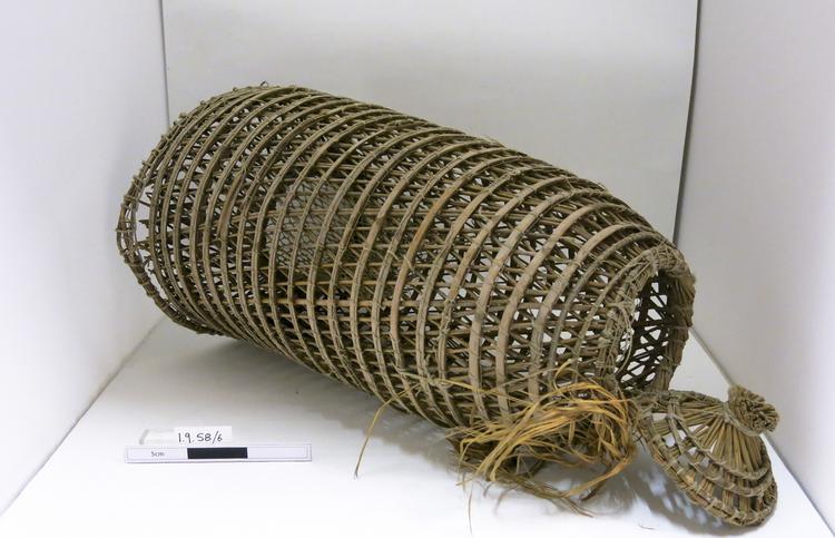 fish trap (trap (hunting, fishing & trapping)) - Horniman Museum