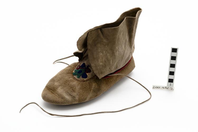 image of moccasin
