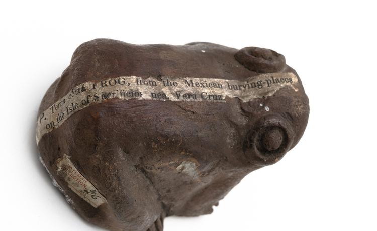 Detail view of label of Horniman Museum object no nn8224