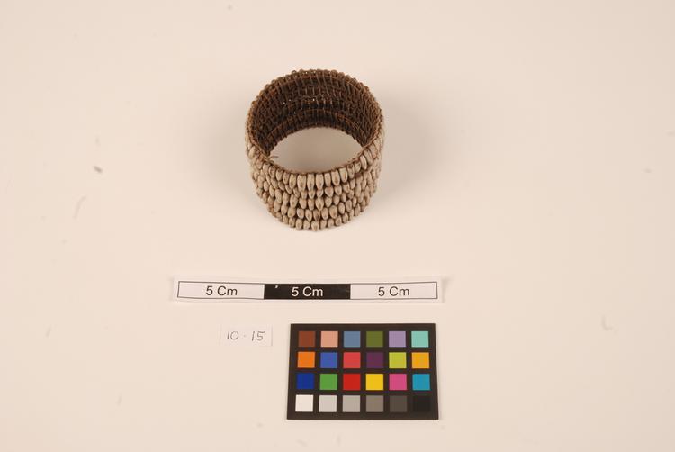 General View of Whole of Horniman Museum object no 10.15