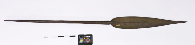 Image of paddle (water transport: accessories)