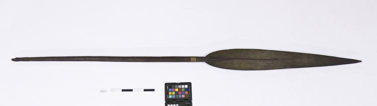 Image of paddle (water transport: accessories)