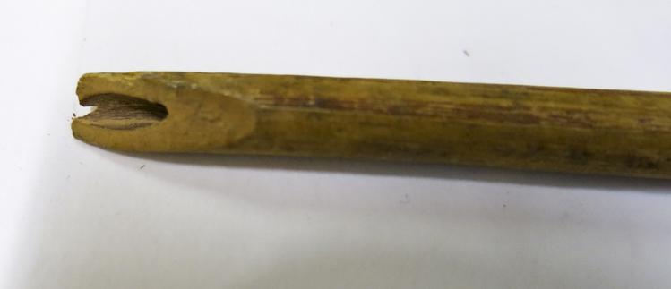 Image of